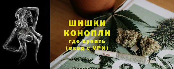 ПСИЛОЦИБИНОВЫЕ ГРИБЫ Алексеевка